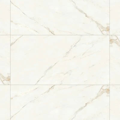 Magnifica 24" x 48" - 8mm Polished Porcelain Tile in Calacatta Oro