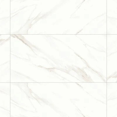Shandar 24" x 48" Matte Porcelain Field Tile in Statuario