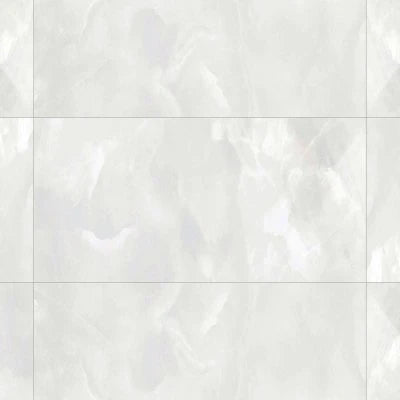Gemma 24" x 48" Polished Porcelain Field Tile in White Onyx