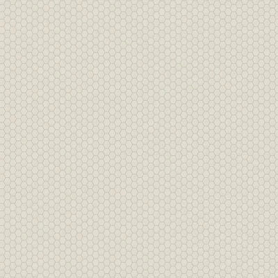 Moroccan Concrete - Off White, Hexagon, 1.5, Matte