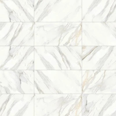 Shandar 12" x 24" Polished Porcelain Field Tile in Arezzo Bianco