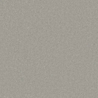 FS233-00501