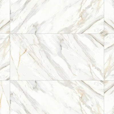 Shandar 24" x 48" Matte Porcelain Field Tile in Arezzo Bianco