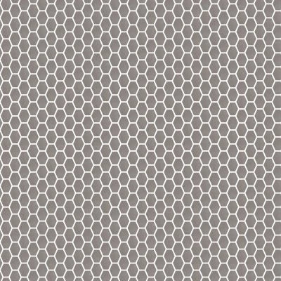 Newton Silver Natural Hex (10X14 Sheet)