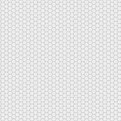 Le Cafe 2" x 2" Hexagon Glossy Porcelain Mosaic Tile in White
