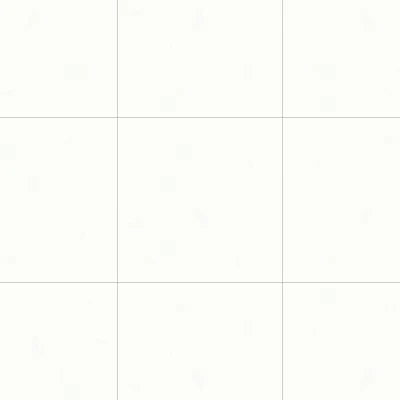 Shandar 24" x 24" Matte Porcelain Field Tile in Plain White