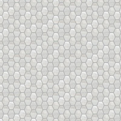 Fossil White Hexagon Mosaic Natural