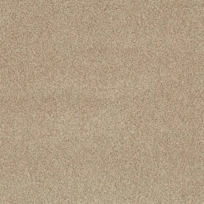 ZZ276-00224