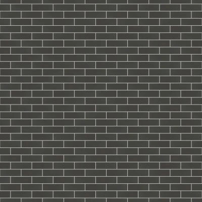 Zenia 2" x 6" Matte Porcelain Floor & Wall Mosaic in Orbit