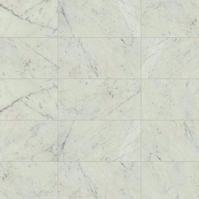Classic 2.0 12" x 24" Floor & Wall Tile in Bianco Carrara