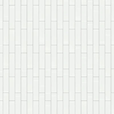 Esenzia White Solid Glossy 3x12