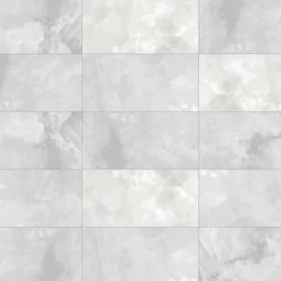 Gemma 12" x 24" Polished Porcelain Field Tile in White Onyx