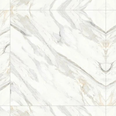 Shandar 48" x 48" Polished Porcelain Field Tile in Arezzo Bianco