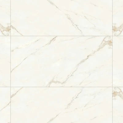 Magnifica 24" x 48" - 8mm Honed Porcelain Tile in Calacatta Oro