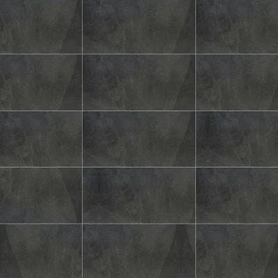 Delegate Dark Grey, Rectangle, 12X24, Matte