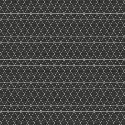 100003618