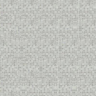 Bardiglio Grigio 1X1 Polished