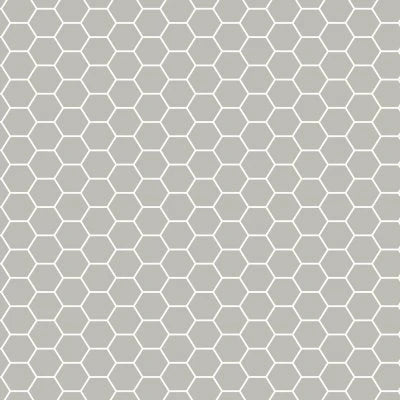 CARPENTER TAUPE HEXAGON 5X6 (WALL ONLY)
