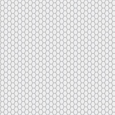 Statuario X 11X13 Glossy