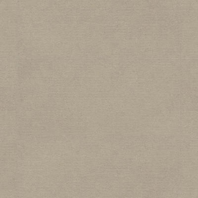 Poetry Stone 24" x 48" Satin Porcelain Deco in Ecru