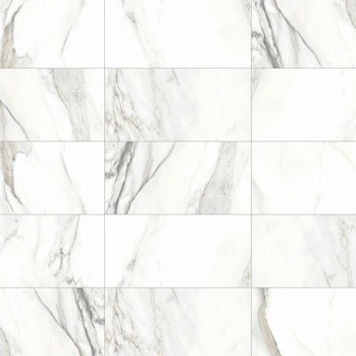Prati 12" x 24" Honed Porcelain Field Tile in Calacatta Borghini Warm