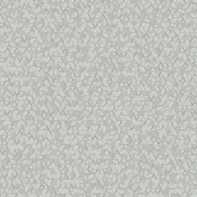 100004080