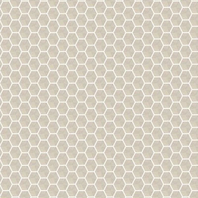 Dolomtie Beige Polished 3D Hex Mosaic