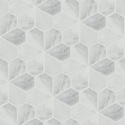Monet Honed Marble Mosaic 9 Tile in White Carrara
