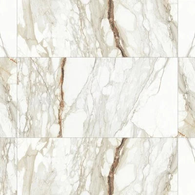 Prati 24" x 48" Honed Porcelain Field Tile in Calacatta Macchia Vecchia