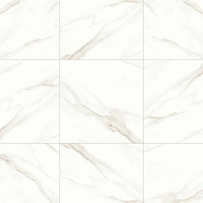Shandar 24" x 24" Polished Porcelain Field Tile in Statuario