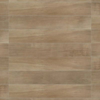 Antique 8" x 48" Wood Look Matte Porcelain Tile in Clay
