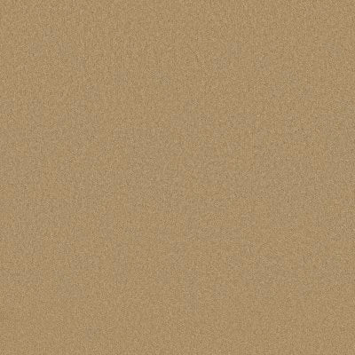 Timeless Appeal I 12'