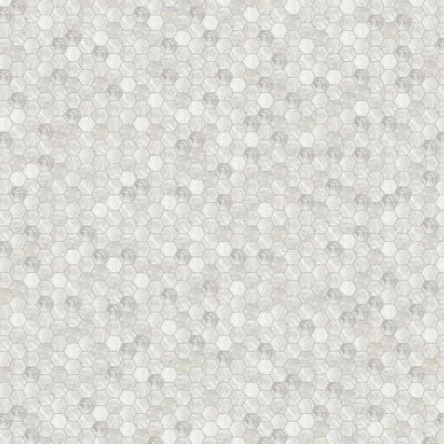 Eclessia Marble Cristallo, Hexagon, 2, Honed