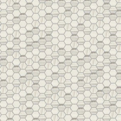 Exotic Stone Arctic Polished Hex Mosaic