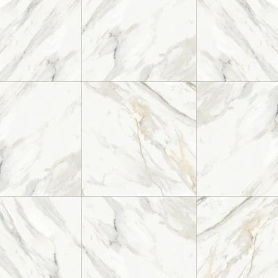 Shandar 24" x 24" Polished Porcelain Field Tile in Arezzo Bianco