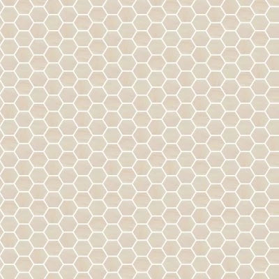 Dolomite Beige Polished Hex Mosaic