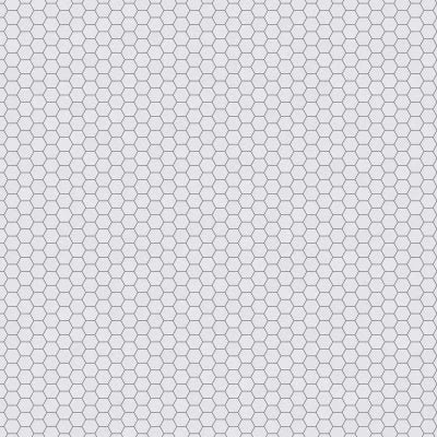 Natural Stone Thassos Hexagon Mosaic