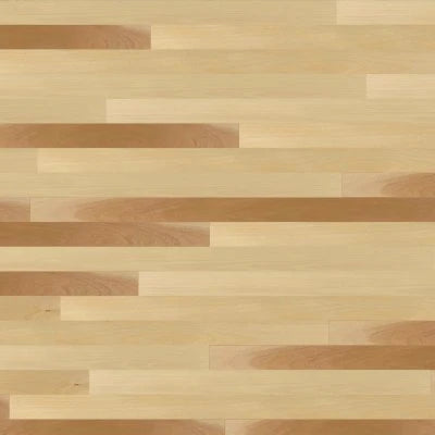 Birch Excel Virtuoso