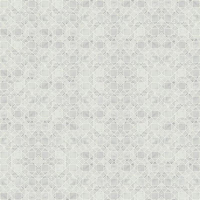 Monet Honed Marble Mosaic 2 Tile in White Carrara