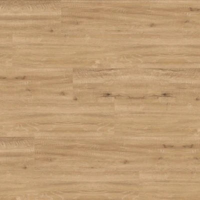 CHAMPAGNE OAK LLP310