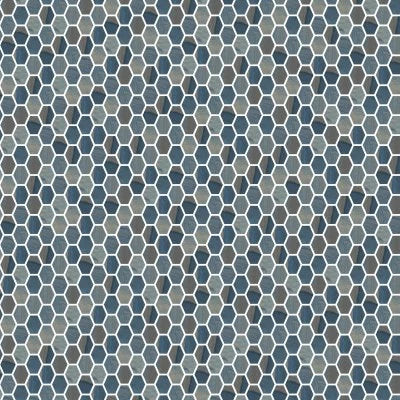 Macaubas Azul Polished Hex