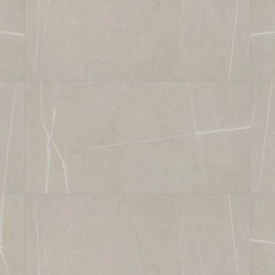 Nomade 24"x48" Matte Porcelain Tile in Bone