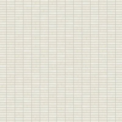 100000244