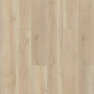 Paragon HD Plus NB