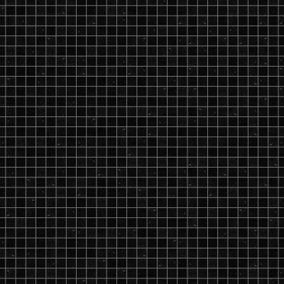 100004639
