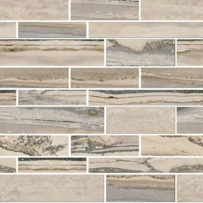 Exotic Stone Fossil Polished Murreto Mosaic