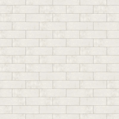 PAGONI SILVER GLOSSY 4X13-POR