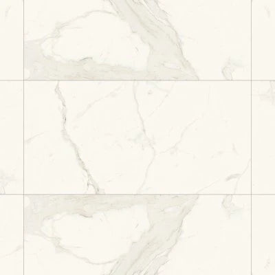 Magnifica 24" x 48" - 8mm Honed Porcelain Tile in Calacatta Super White