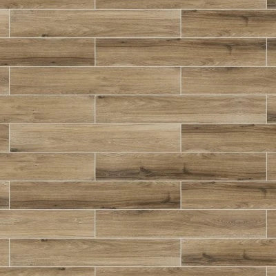 Saddle Brook XT Farmhouse Xt, Plank, 6X36, Matte