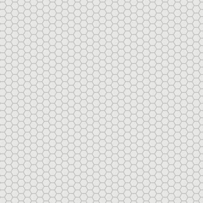 Le Cafe 2" x 2" Hexagon Matte Porcelain Mosaic Tile in White